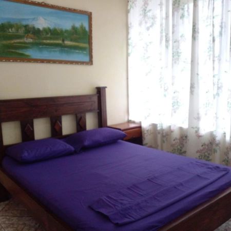 La Pension Backpackers La Fortuna ภายนอก รูปภาพ