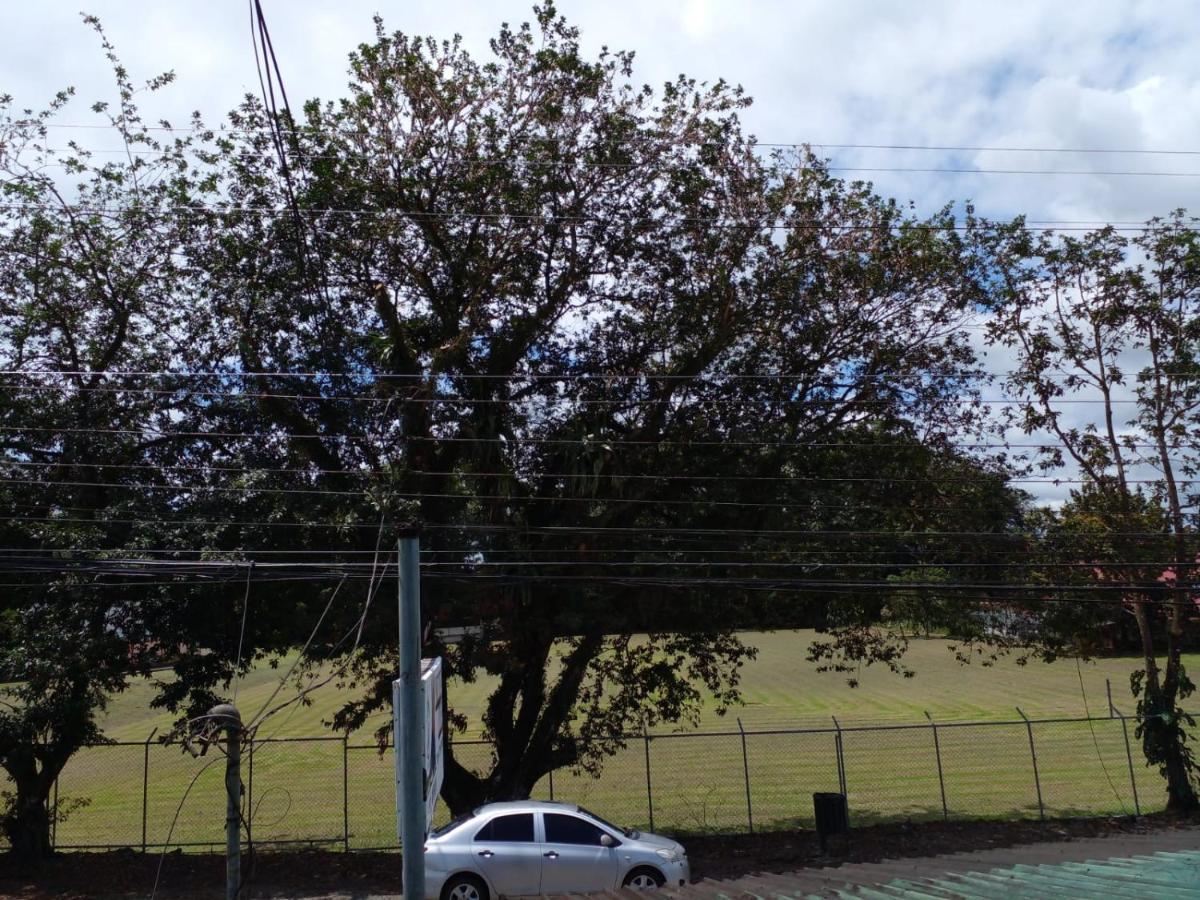 La Pension Backpackers La Fortuna ภายนอก รูปภาพ